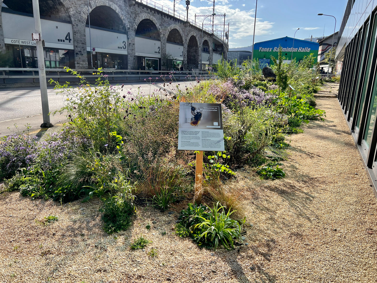Lust auf Leben! Der Klimawandel in der Stadt: Ein Plädoyer für die Artenvielfalt.