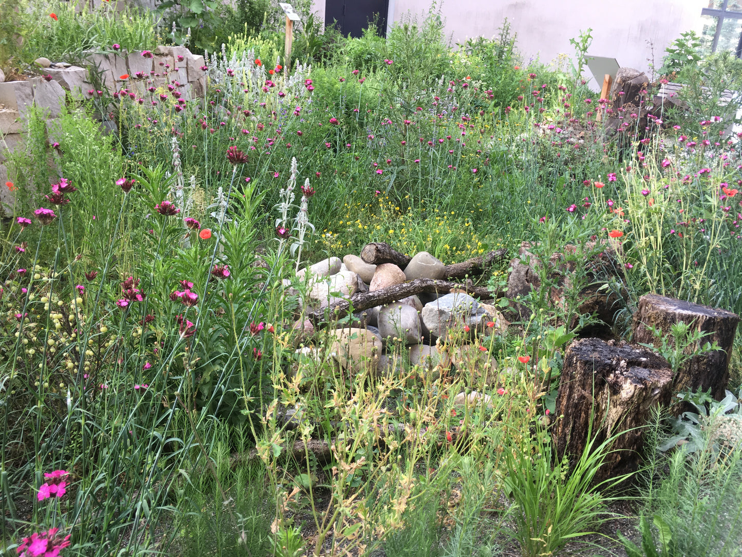 biodiverser Lebensraum