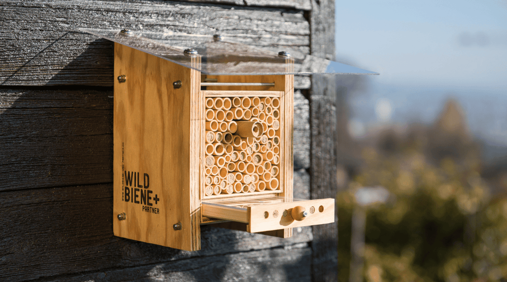 Bienenhotel kaufen - achte auf diese 5 Punkte