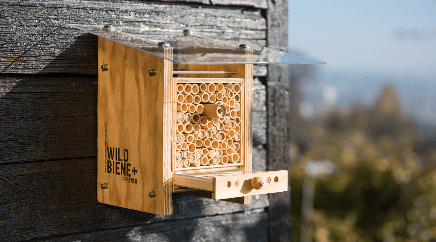 Bienenhotel kaufen - achte auf diese 5 Punkte