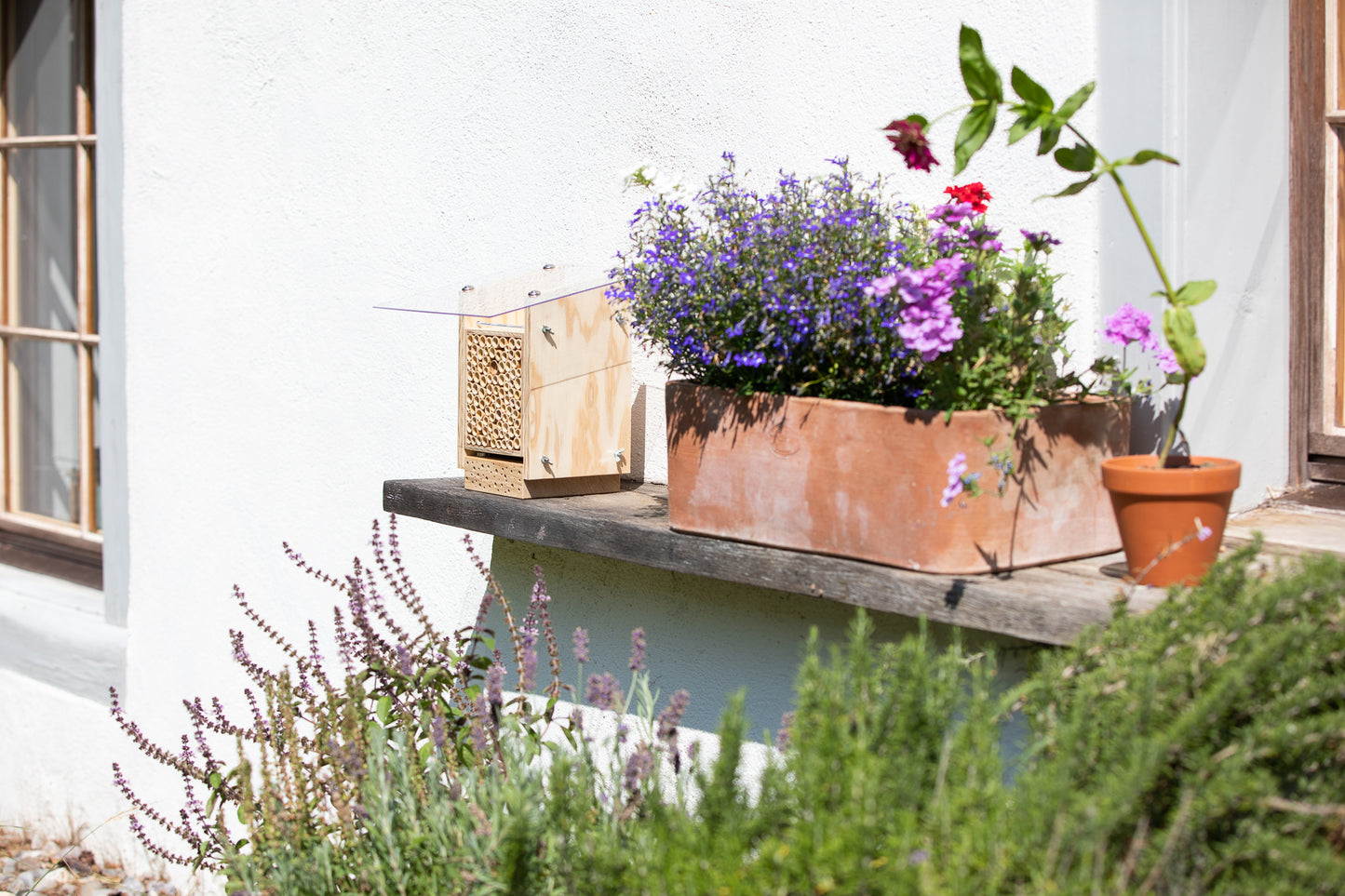 5 Wildbienenarten, die im Sommer gerne im BeeHome nisten
