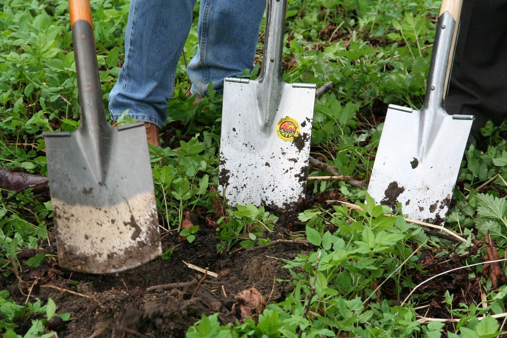 Bêche dans le jardin. La plantation de plantes ligneuses indigènes aide également les insectes des environs.