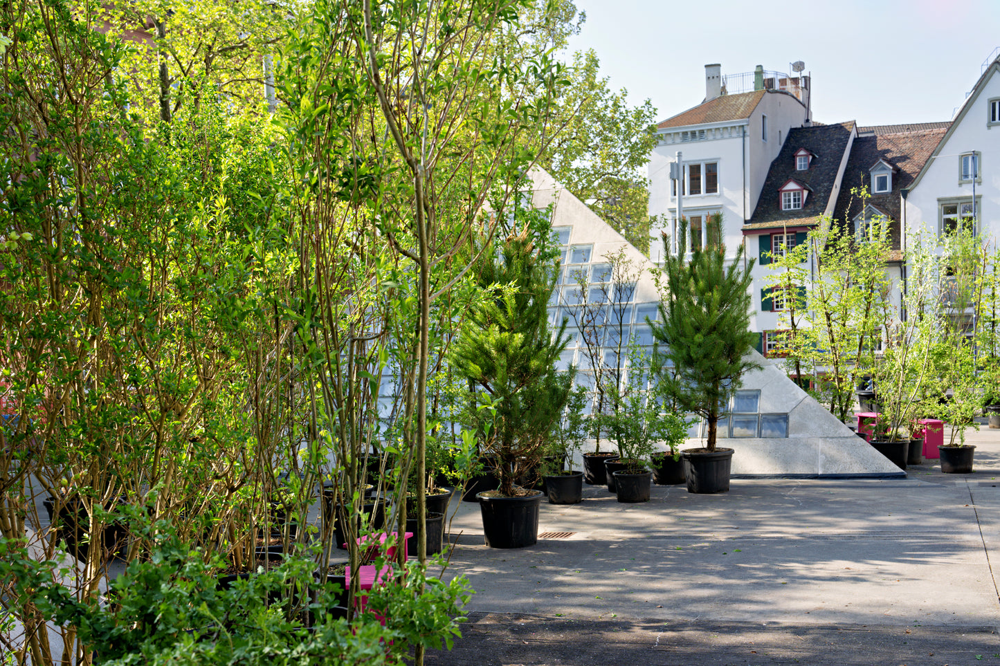 Wildbiene + Partner unterstützt den Mobilen Wald in Basel