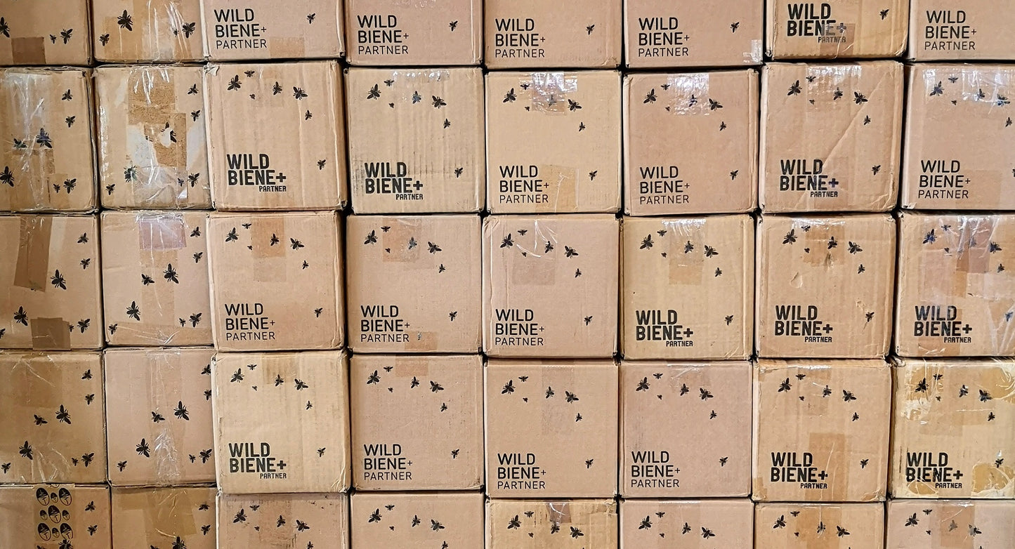 Ein Tag in der Wildbienen-Pflege