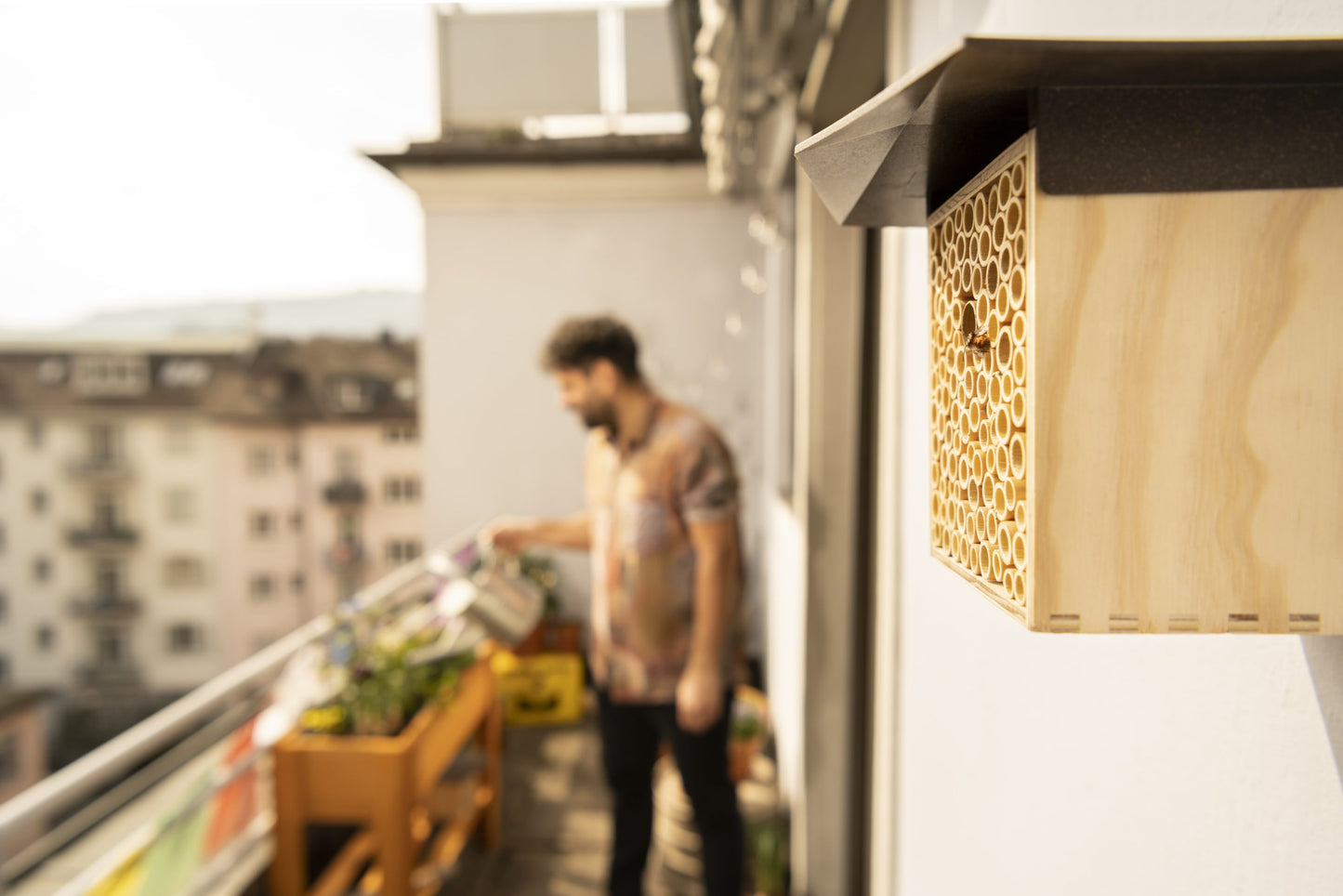 Eignet sich mein Garten oder Balkon für ein BeeHome?