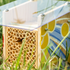 BeeHome Observer: exklusive Kunst-Edition