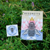 Beegnette - 2 qm Lebensraum
