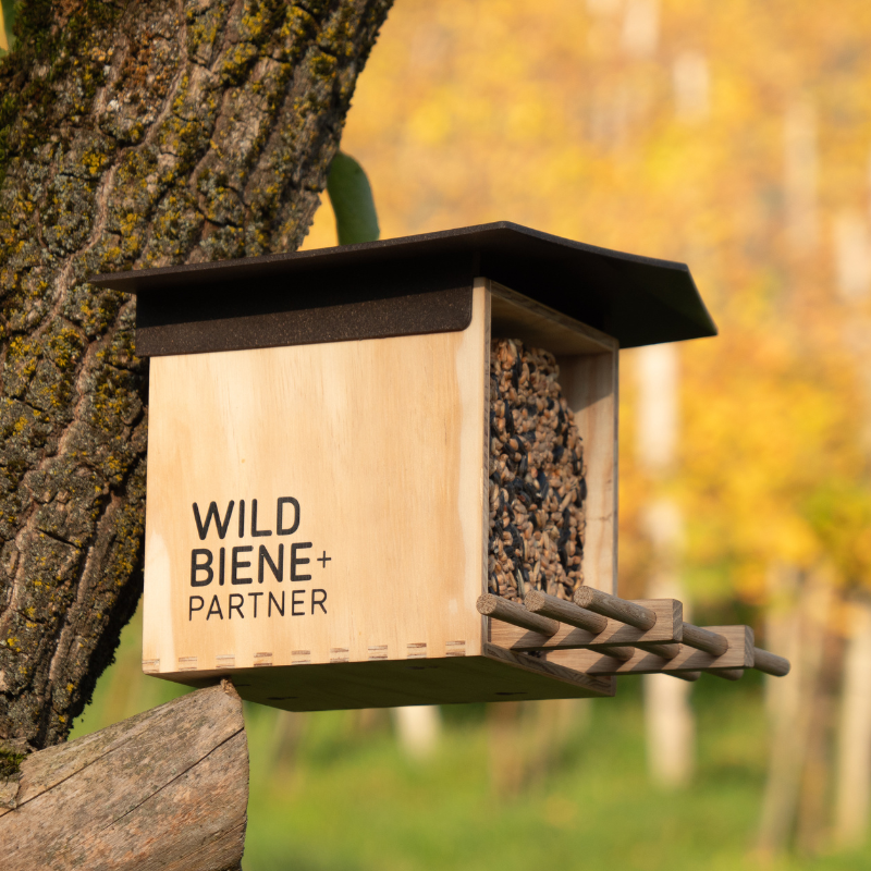 Mangeoire pour oiseaux BirdSnack