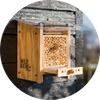 Hôtels pour abeilles sauvages