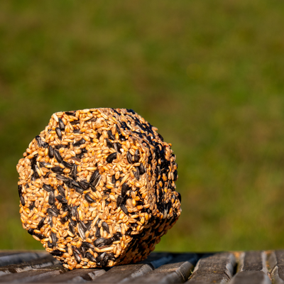 Recharge de nourriture pour oiseaux BirdSnack