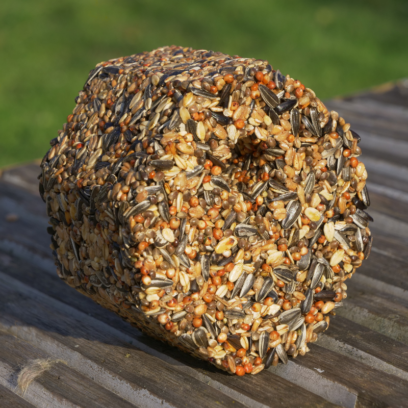 Mangeoire pour oiseaux BirdSnack