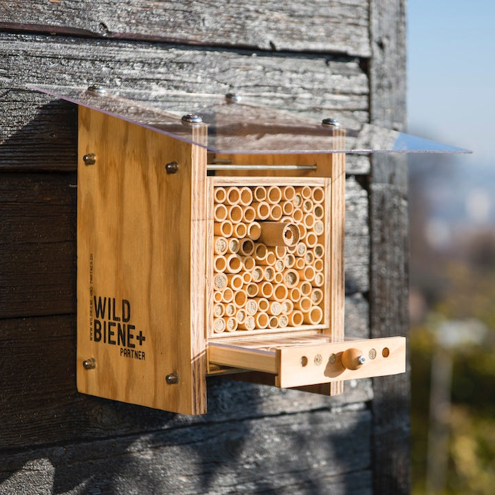 
                  
                    Bienen für Bildung: BeeHome Observer
                  
                