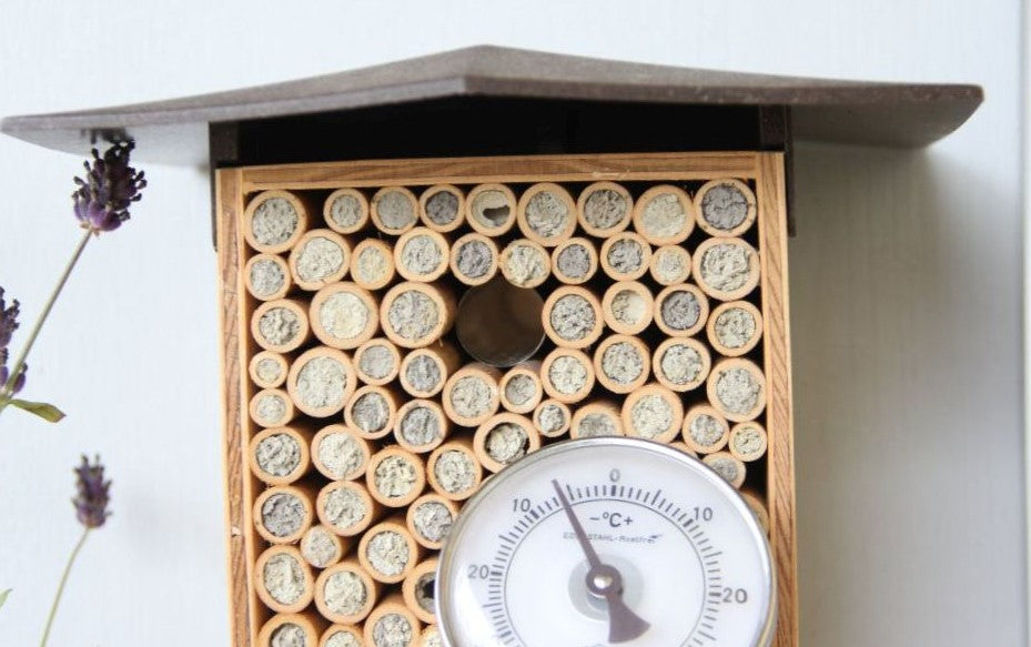 Wildbiene + Partner AG