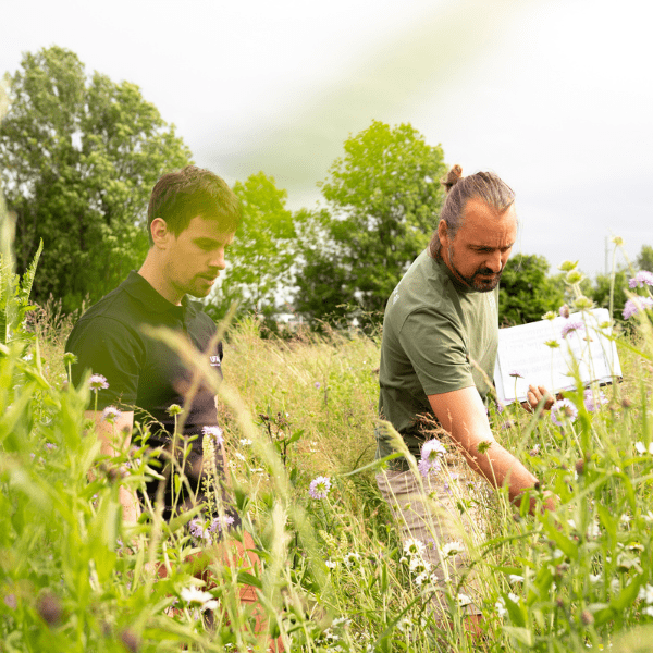 Parrainage de la floraison de la Beegnette 2026