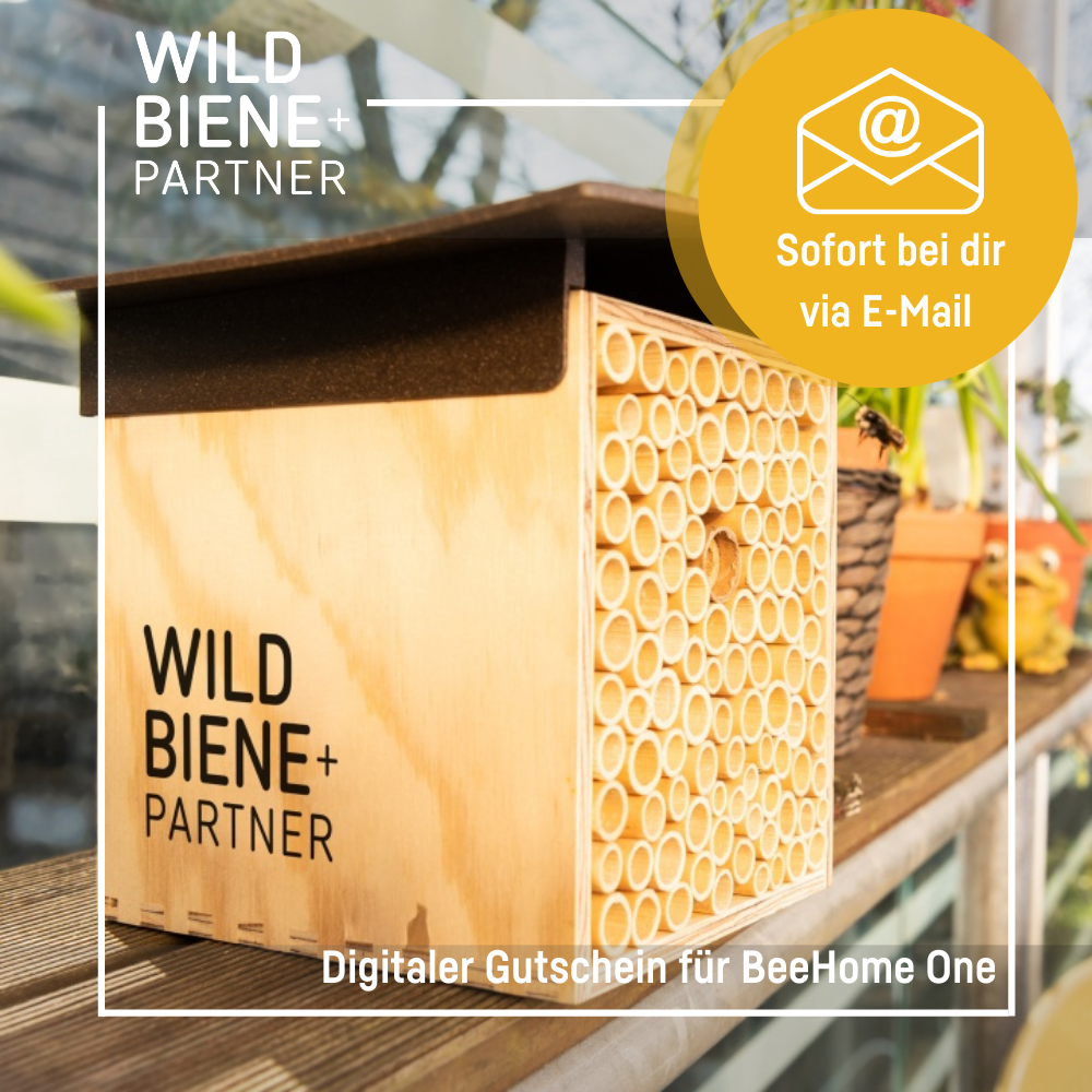 Digitaler Gutschein für ein BeeHome inkl. Mauerbienenkokons