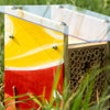 BeeHome Observer: exklusive Kunst-Edition