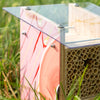 BeeHome Observer: exklusive Kunst-Edition