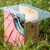 BeeHome Observer: exklusive Kunst-Edition