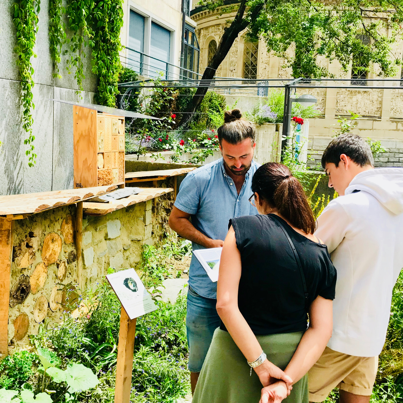 Sensibilisation de la population aux abeilles sauvages et aux fleurs sauvages, critique Abeille sauvage et partenaire de wildbee.ch