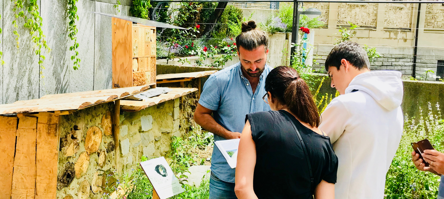 Sensibilisation de la population aux abeilles sauvages et aux fleurs sauvages, critique Abeille sauvage et partenaire de wildbee.ch