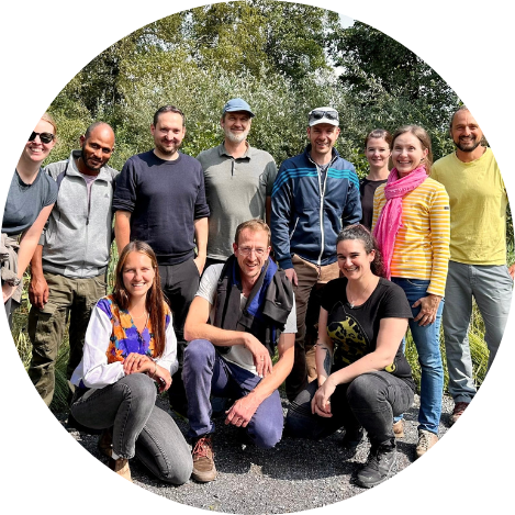 Wildbienen Team