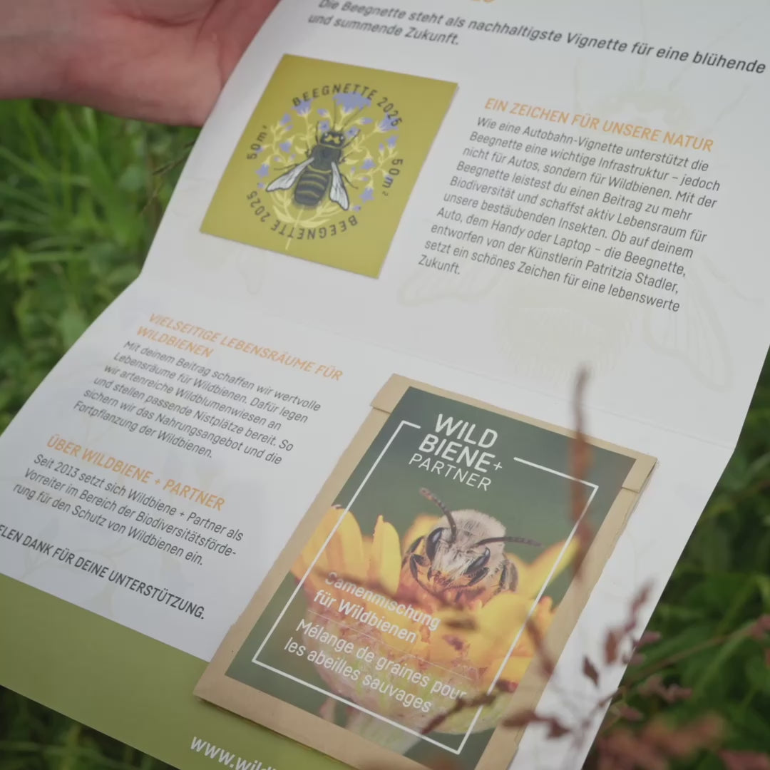 Chargement et lecture de vidéos dans la visionneuse de galerie, parrainage de la floraison de Beegnette 2026