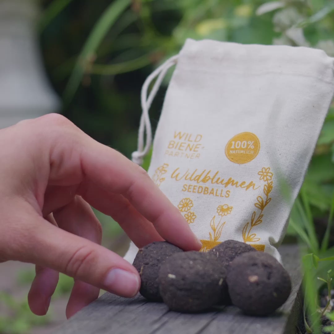 Chargement et lecture de vidéos dans la visionneuse de la galerie, Seedballs avec fleurs sauvages