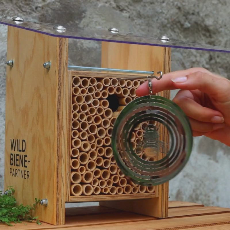 Chargement et lecture de vidéos dans la visionneuse de galerie, protection des oiseaux BeeSafe