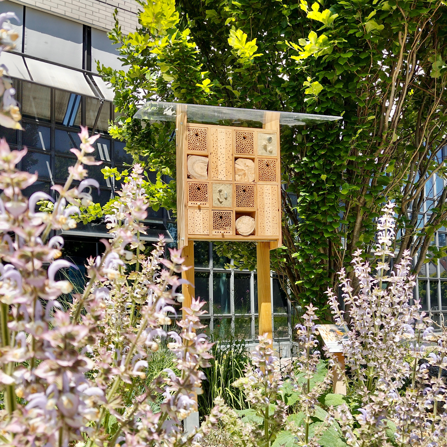 BeeHome Premium