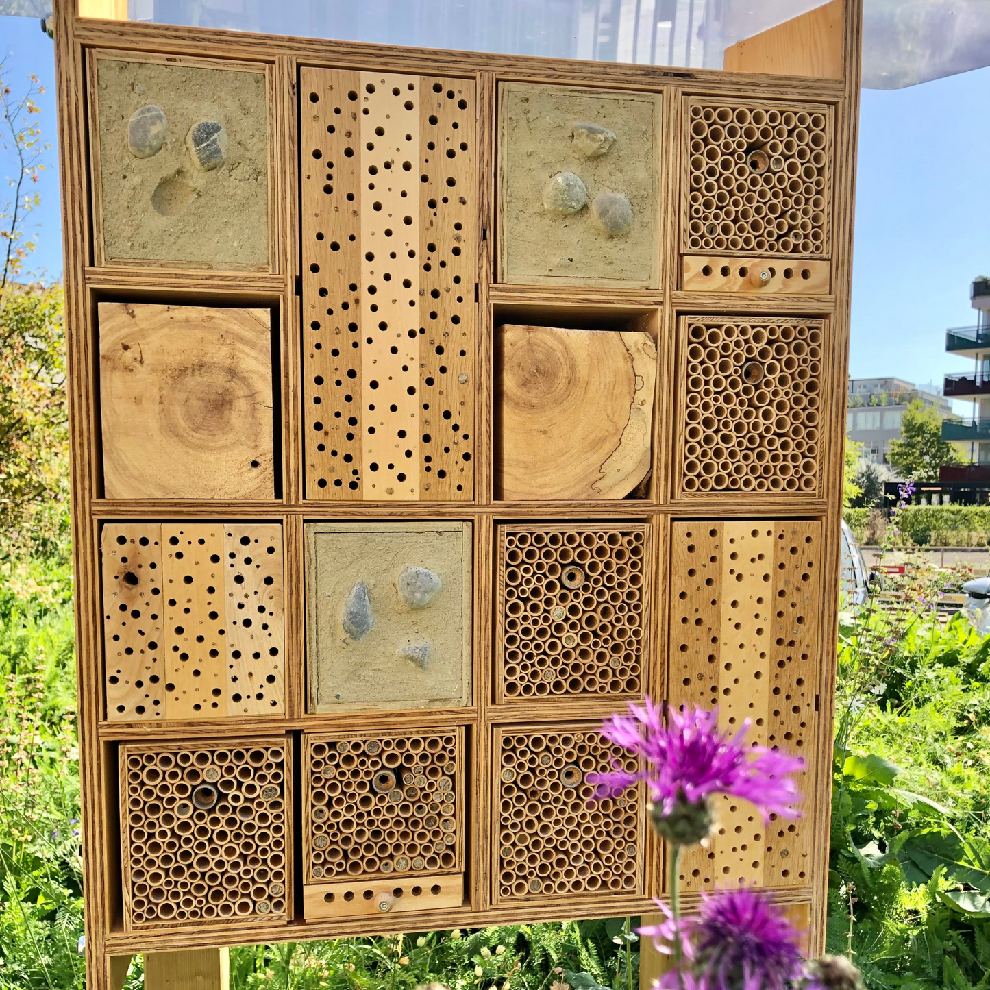BeeHome Premium