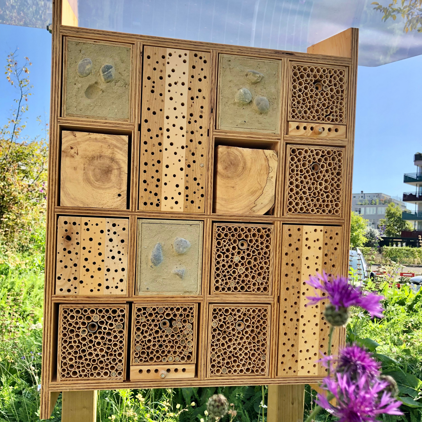 BeeHome Premium