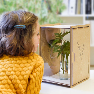 Boîte à chenilles pour papillons