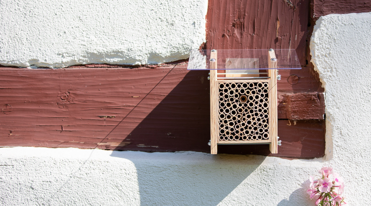 So pflegst du dein Bienenhotel und schützt es vor Feuchtigkeit