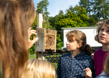 Bienen für Bildung: Wie Schulen mit BeeHome & Acker Schweiz Biodiversität erlebbar machen