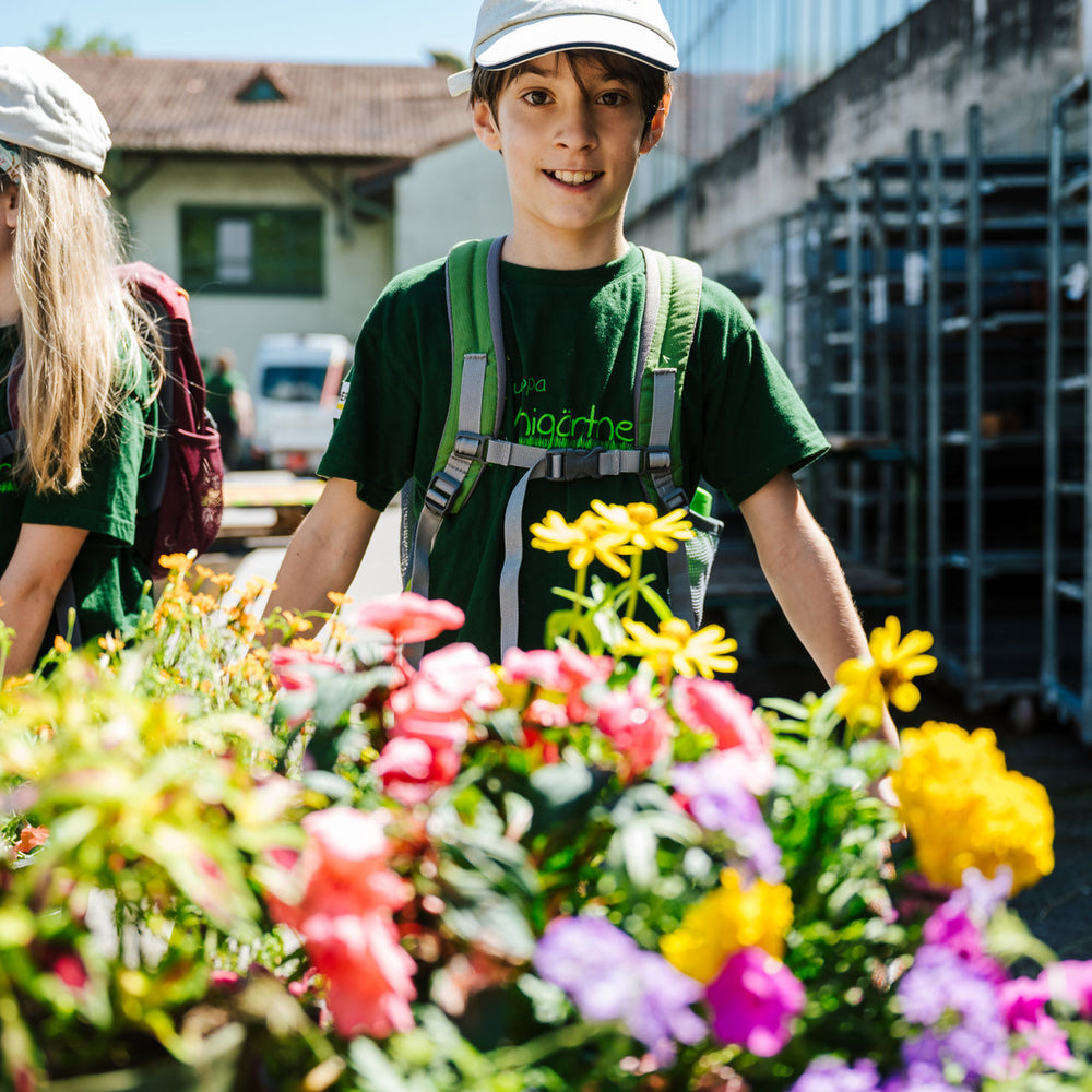 Nichoirs pour abeilles sauvages avec les Mini-Jardiniers d'Europe