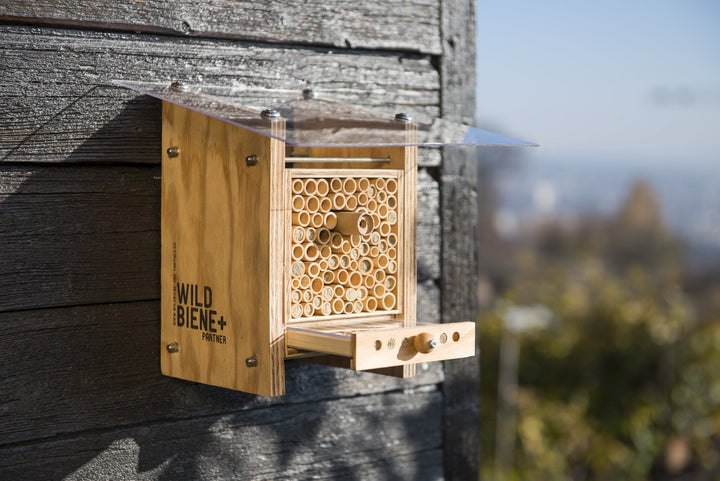 BeeHome Maison pour abeilles sauvages Wildbiene+Partner