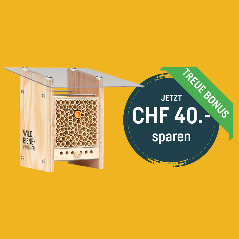 BeeHome Observer - Prix spécial sur MyBeeHome