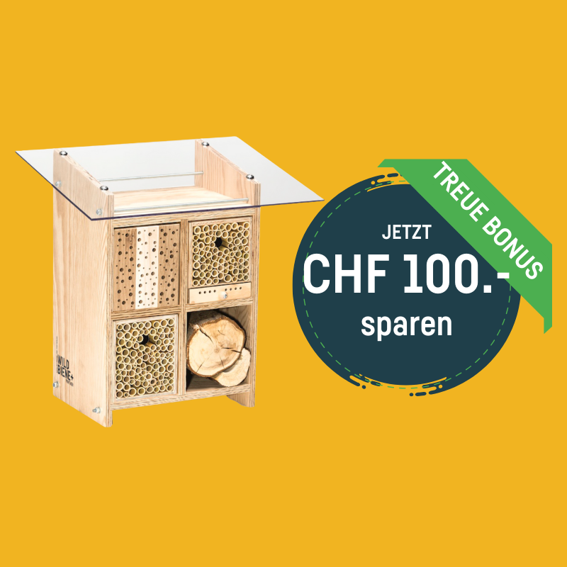 BeeHome Diversity - Prix spécial sur MyBeeHome