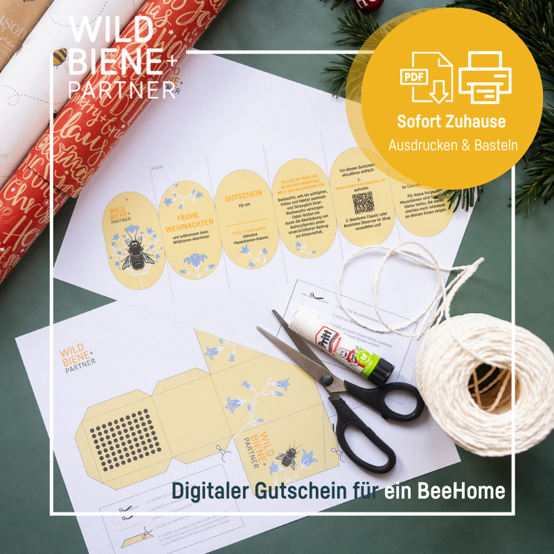 Bon numérique pour une BeeHome