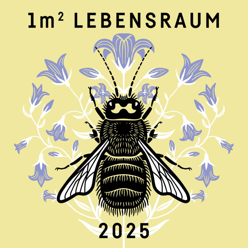 Beegnette - schenke Lebensraum