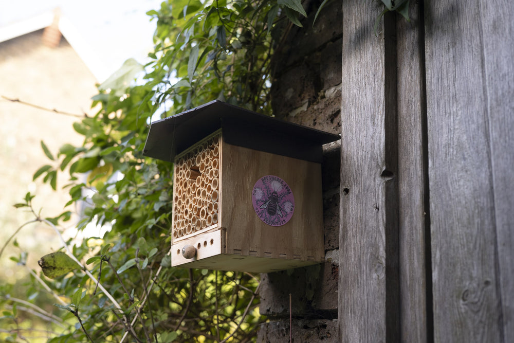 
                  
                    Parrainage de la floraison de la Beegnette 2026
                  
                