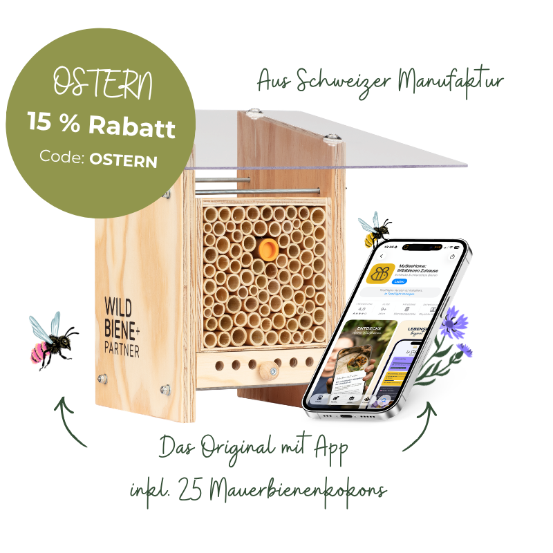 Wildbiene + Partner AG