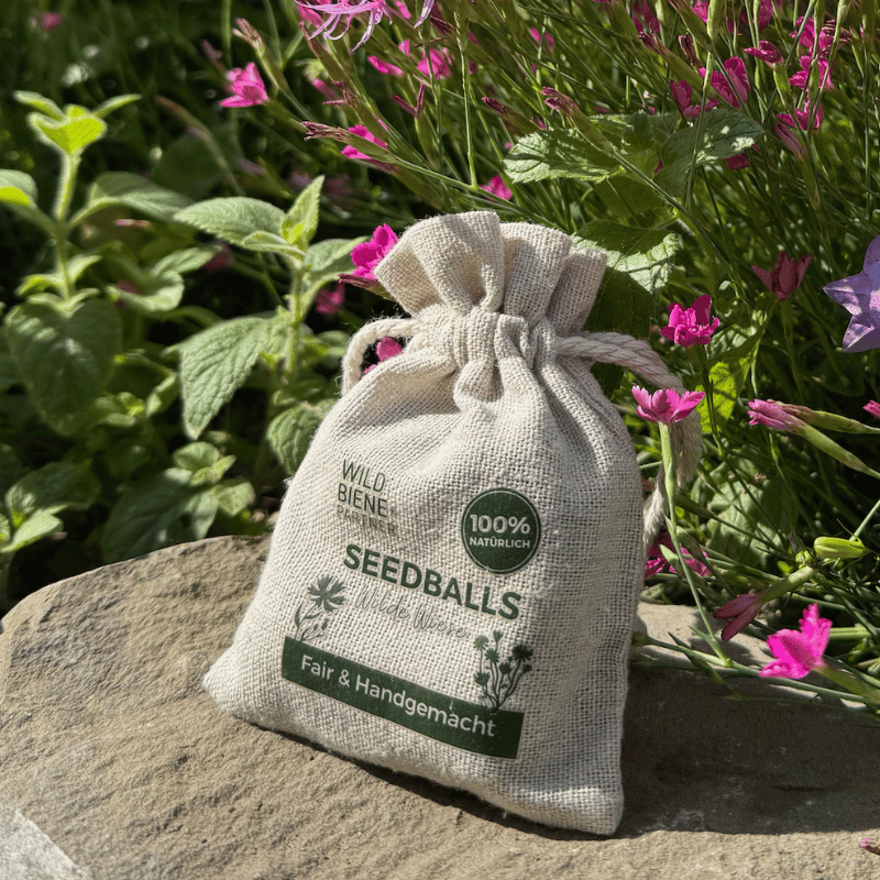 
                  
                    Seedballs mit Wildblumen
                  
                