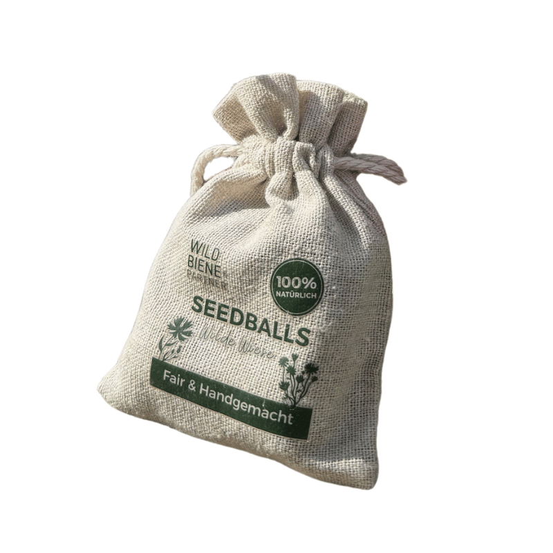 
                  
                    Seedballs mit Wildblumen
                  
                