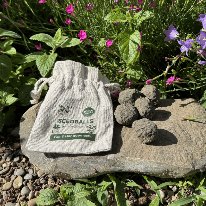 
                  
                    Seedballs mit Wildblumen
                  
                