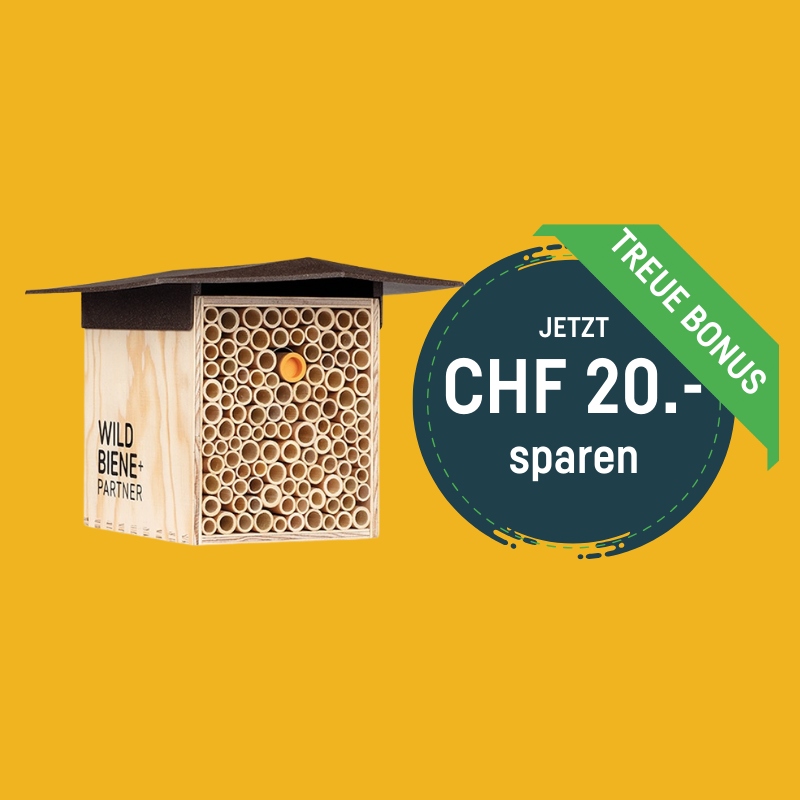 BeeHome One - Sonderpreis auf MyBeeHome