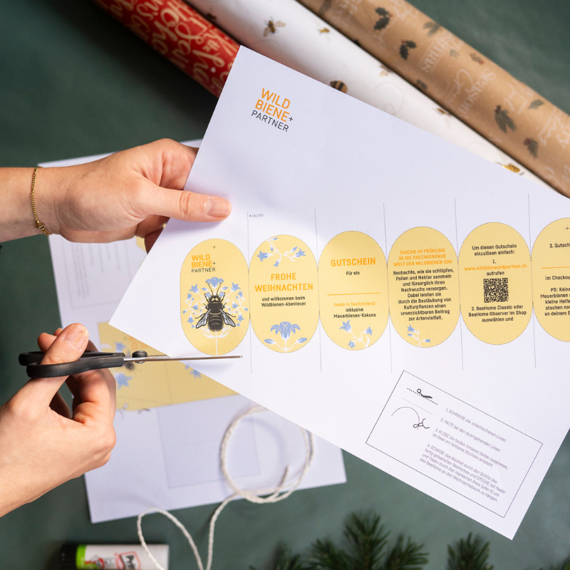 Bon numérique pour une BeeHome