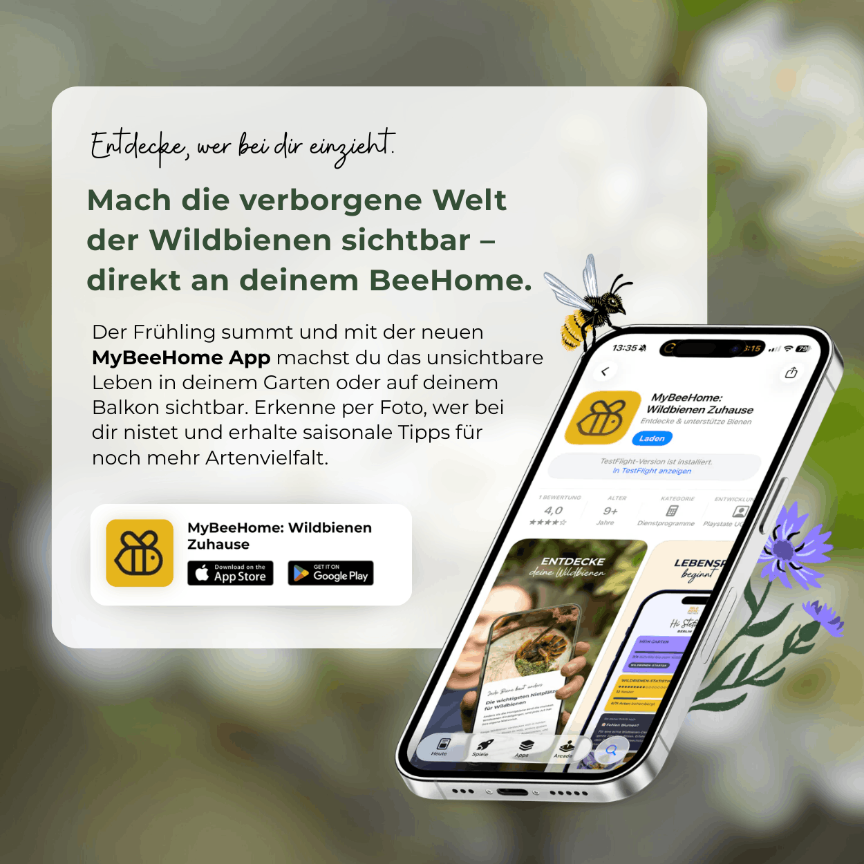 
                  
                    BeeSummer-Set: Bestseller für maximale Artenvielfalt
                  
                