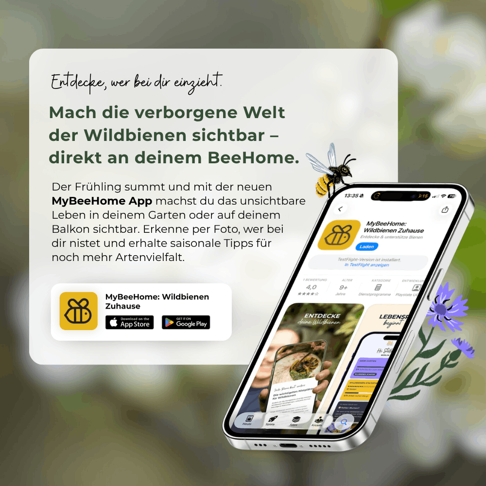 
                  
                    Voucher for Mason Bee Cocoons
                  
                