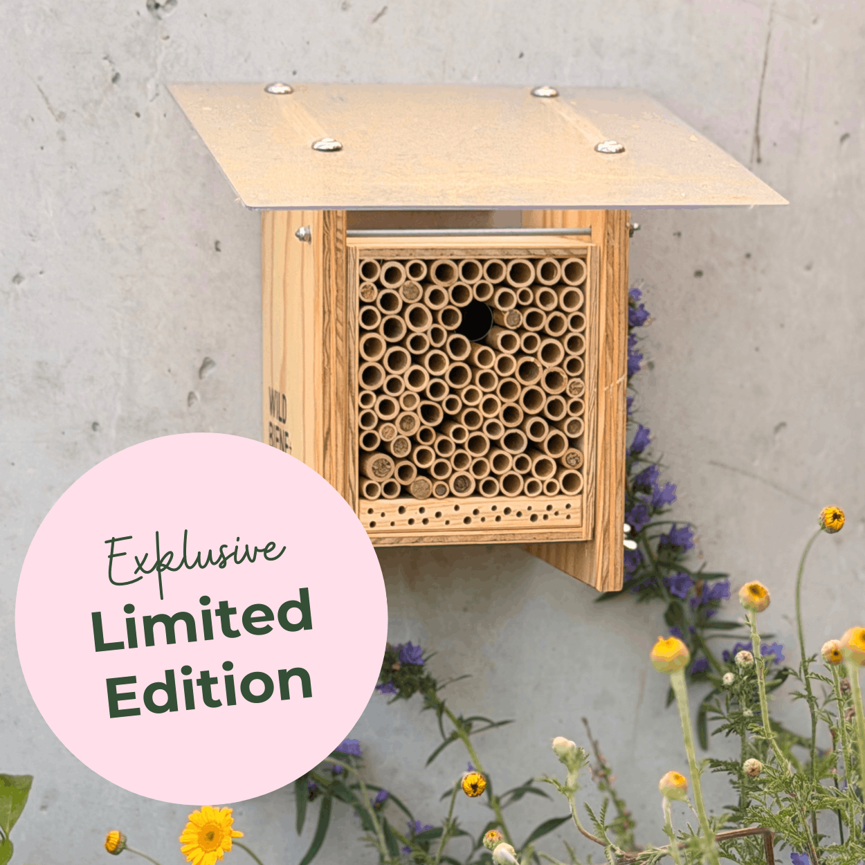 
                  
                    BeeHome Classic Special Edition Diversify
                  
                